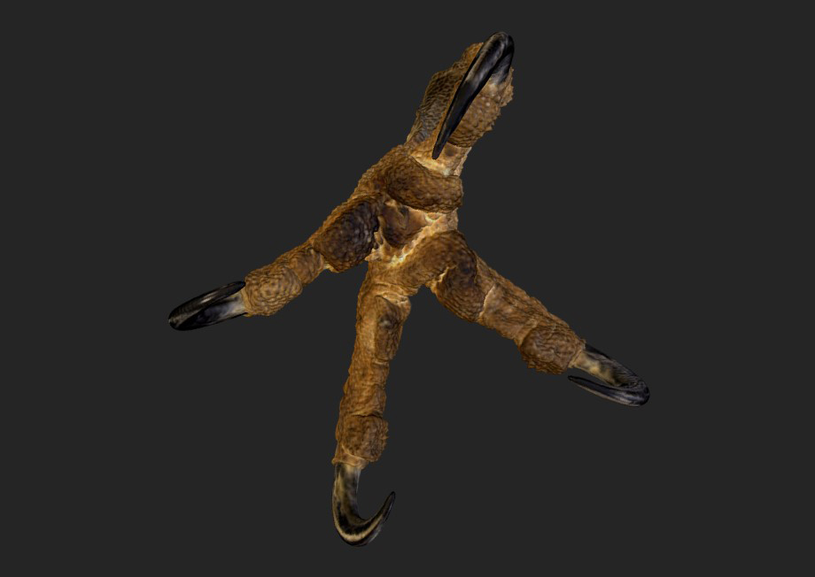 鹰爪3d模型2