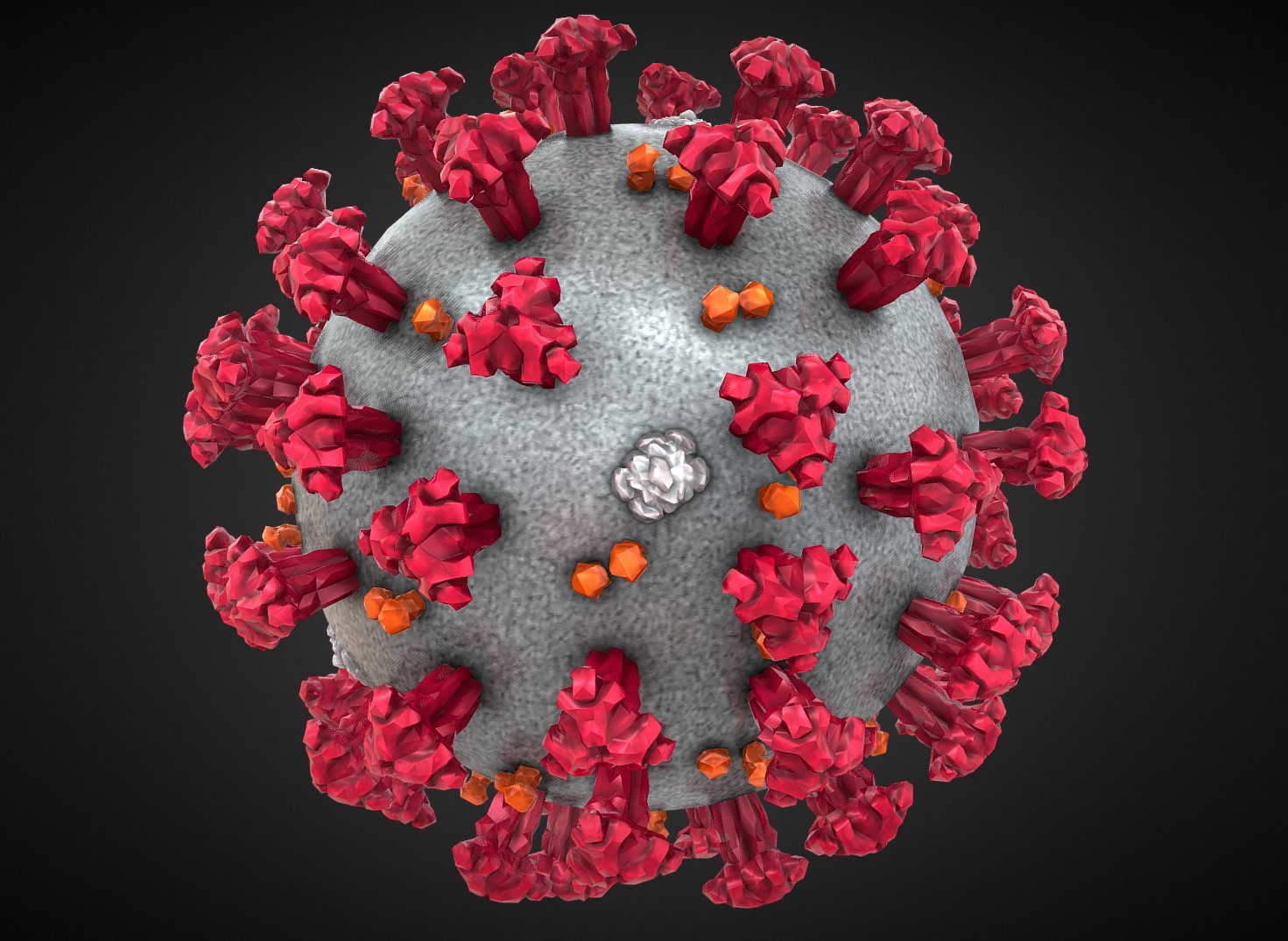 新冠肺炎冠状病毒3D模型0