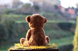 孤独的玩偶熊在岩石上