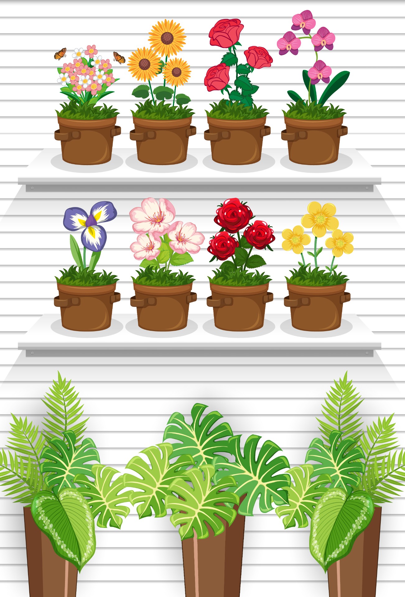 花店货架植物插图0