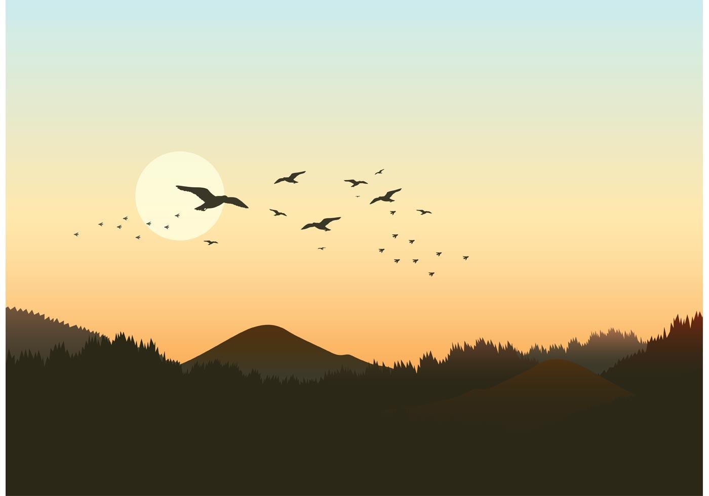 群鸟与森林景观插图0