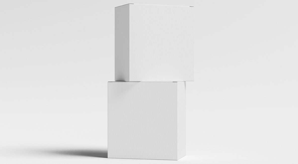 白色纸箱样机1