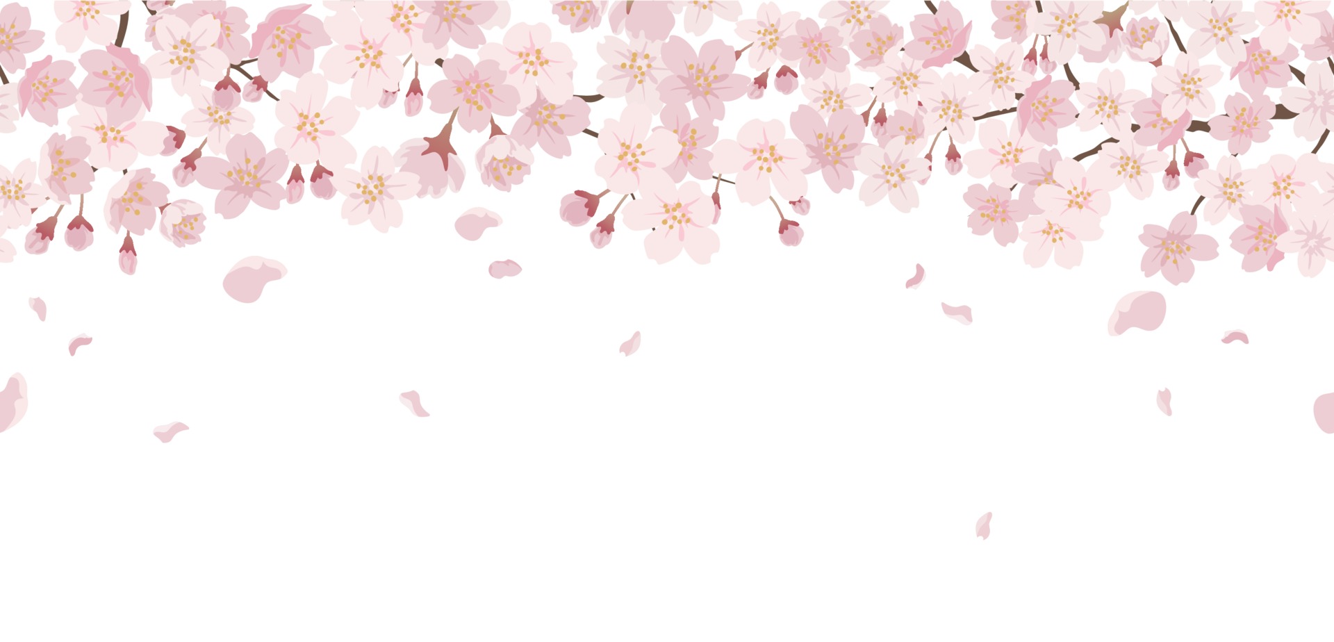 粉色樱花花瓣背景插图0