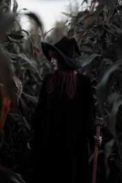 玉米地里的女巫