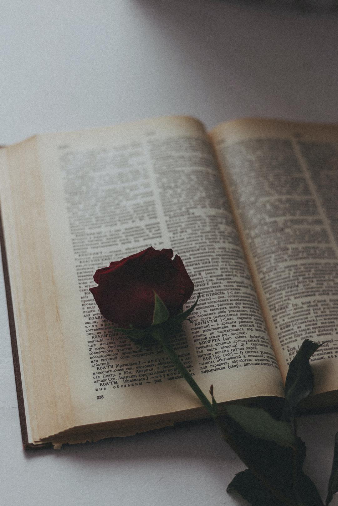 免费照片： 玫瑰, 书, 花, 爱, 花瓣, 植物, 阅读
