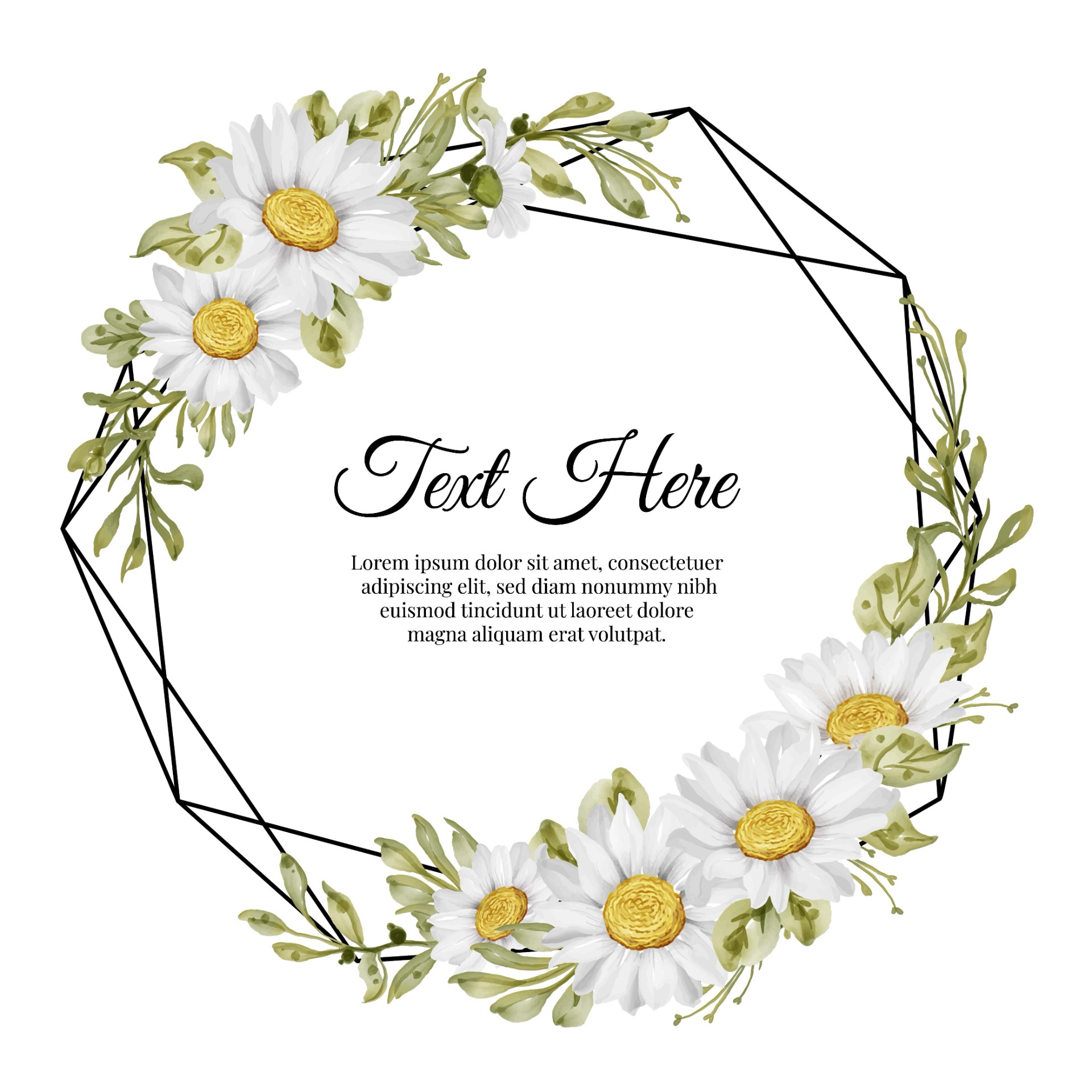 白色雏菊花卉框架插图0