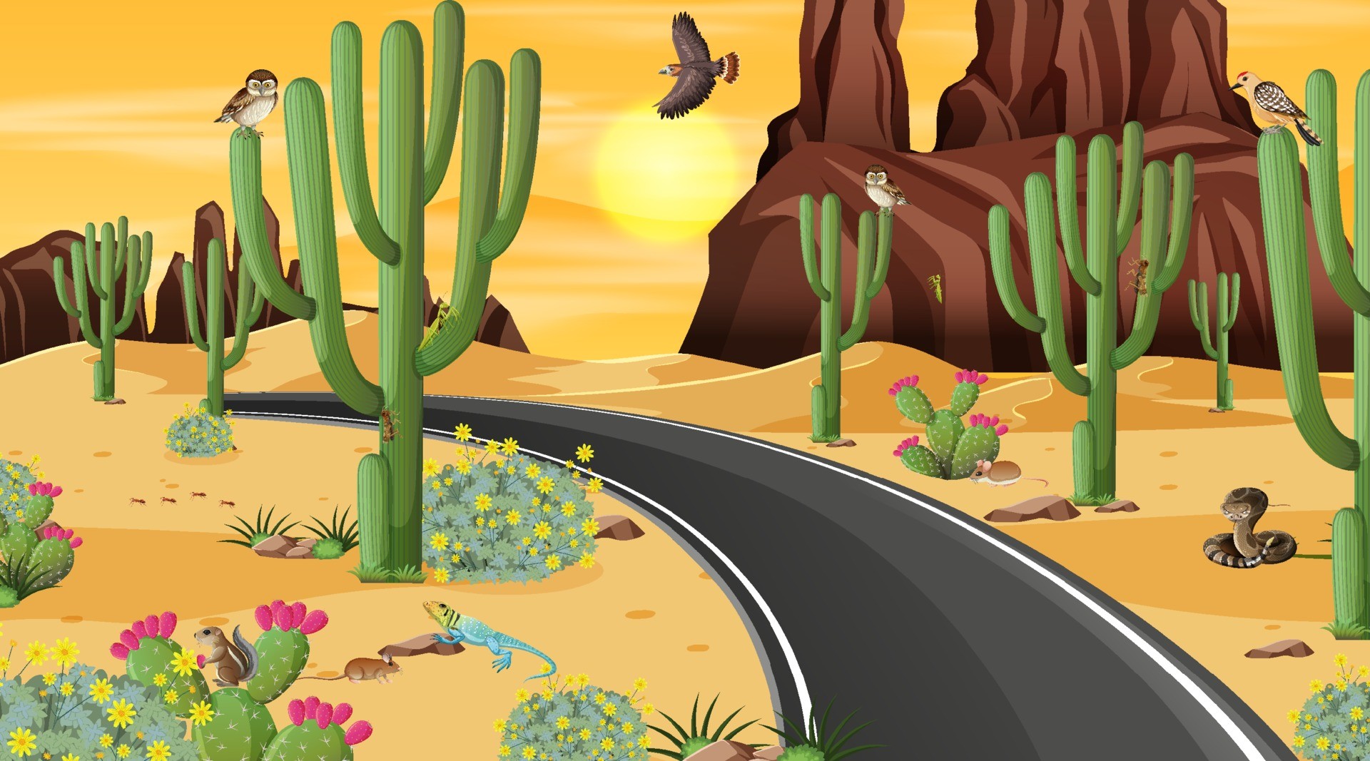 沙漠自然景观插图0