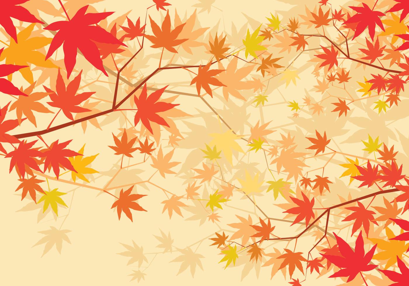 秋季枫树背景插图0
