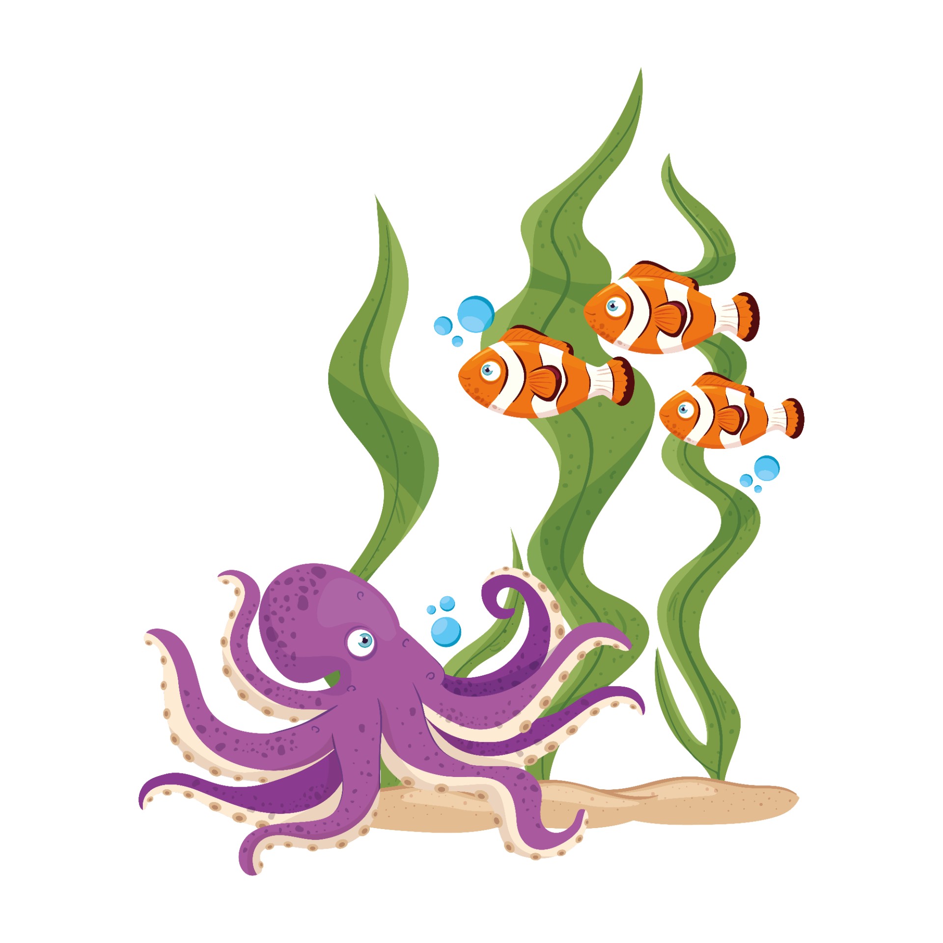 章鱼和海藻插图0