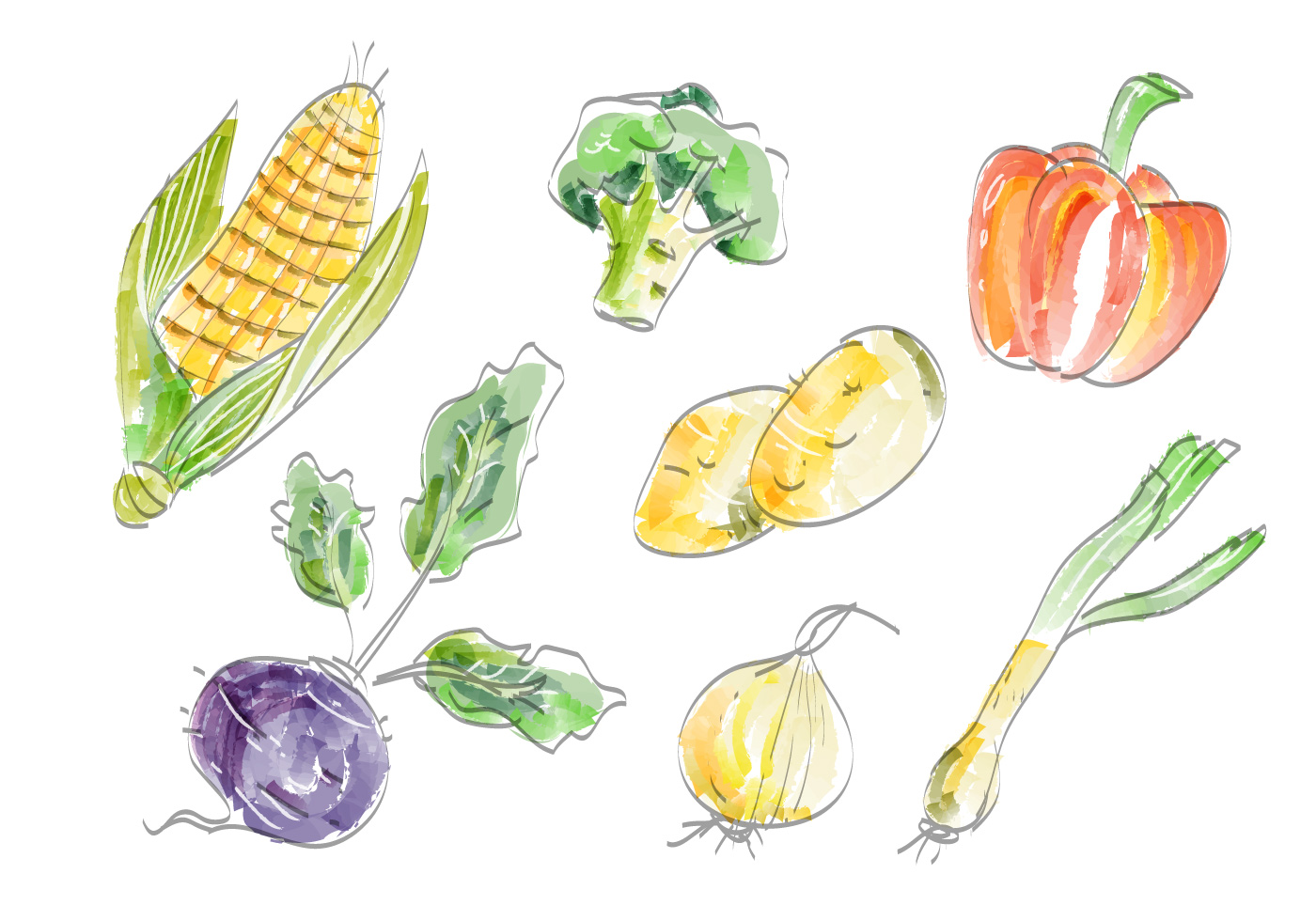 新鲜蔬菜水彩插图0