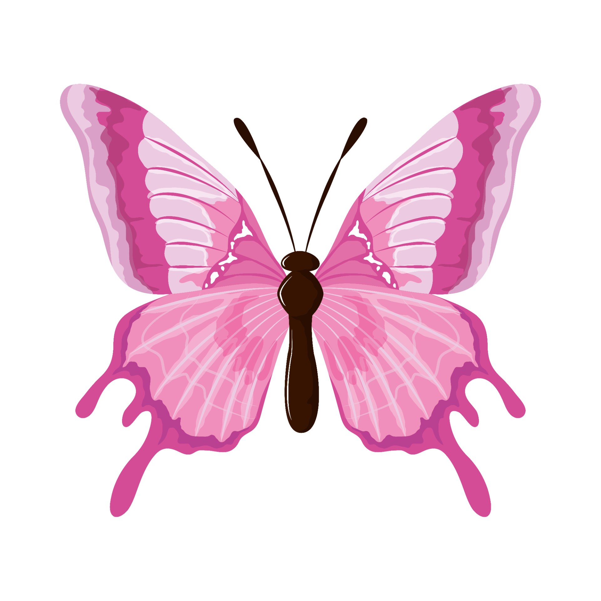 粉红蝴蝶插图0