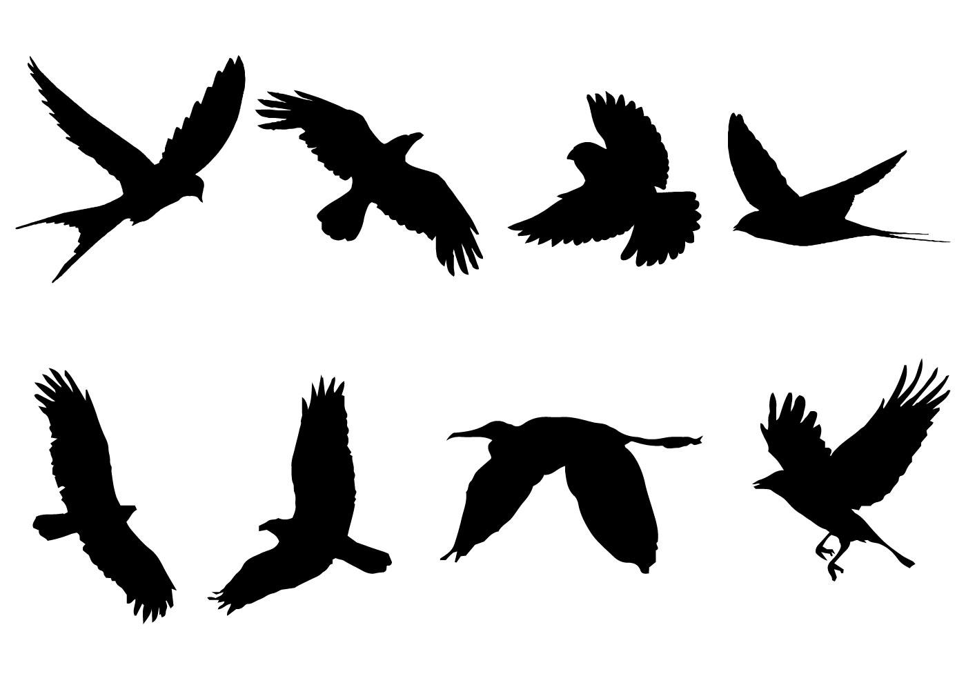 飞行的乌鸦插图0