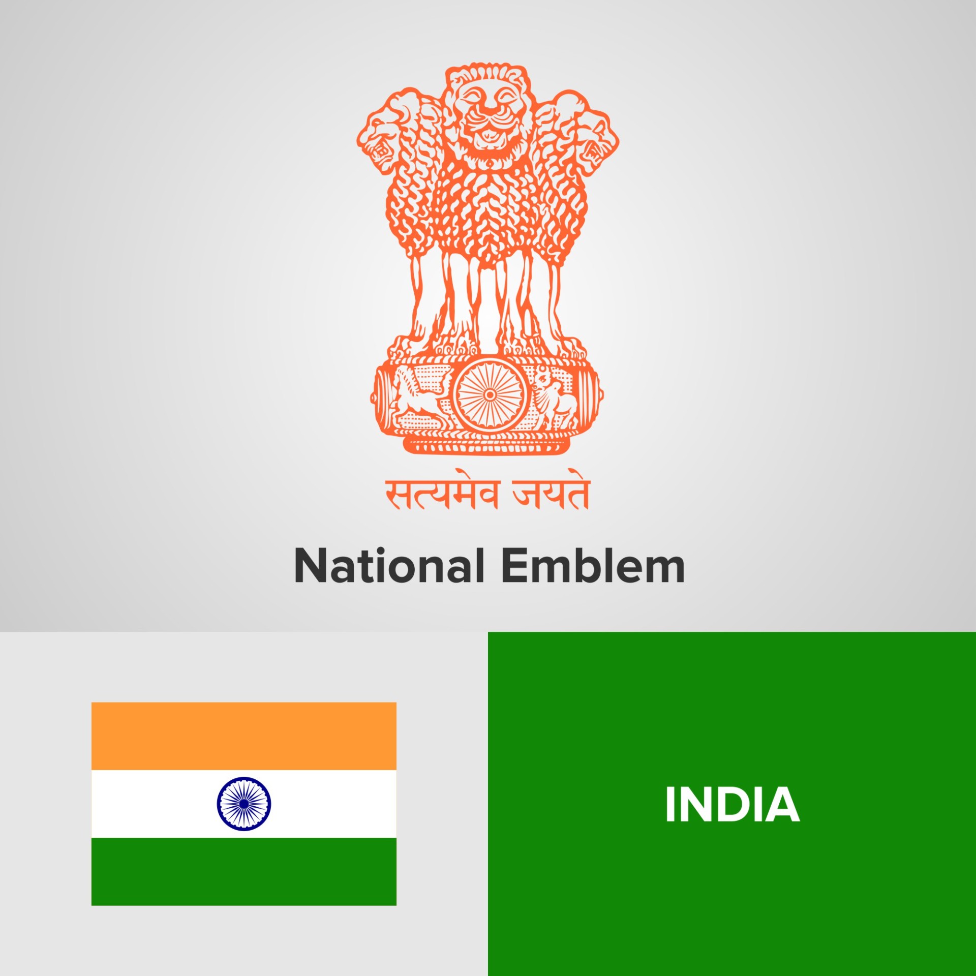 印度国旗国徽插图0