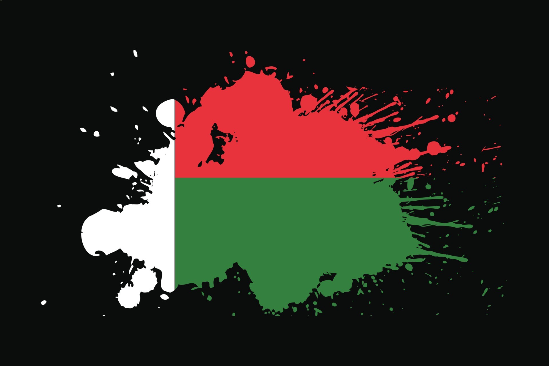 马达加斯加国旗设计插图0