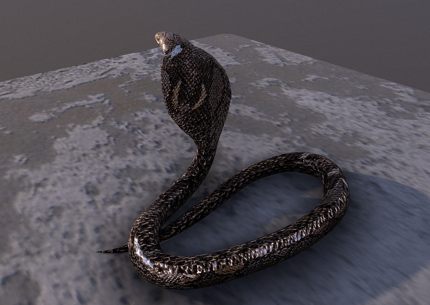 眼镜蛇3d模型1
