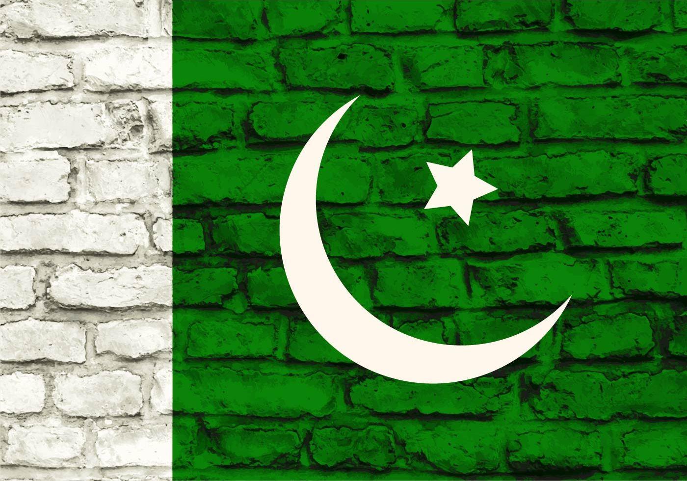 在砖墙上的巴基斯坦国旗插图0