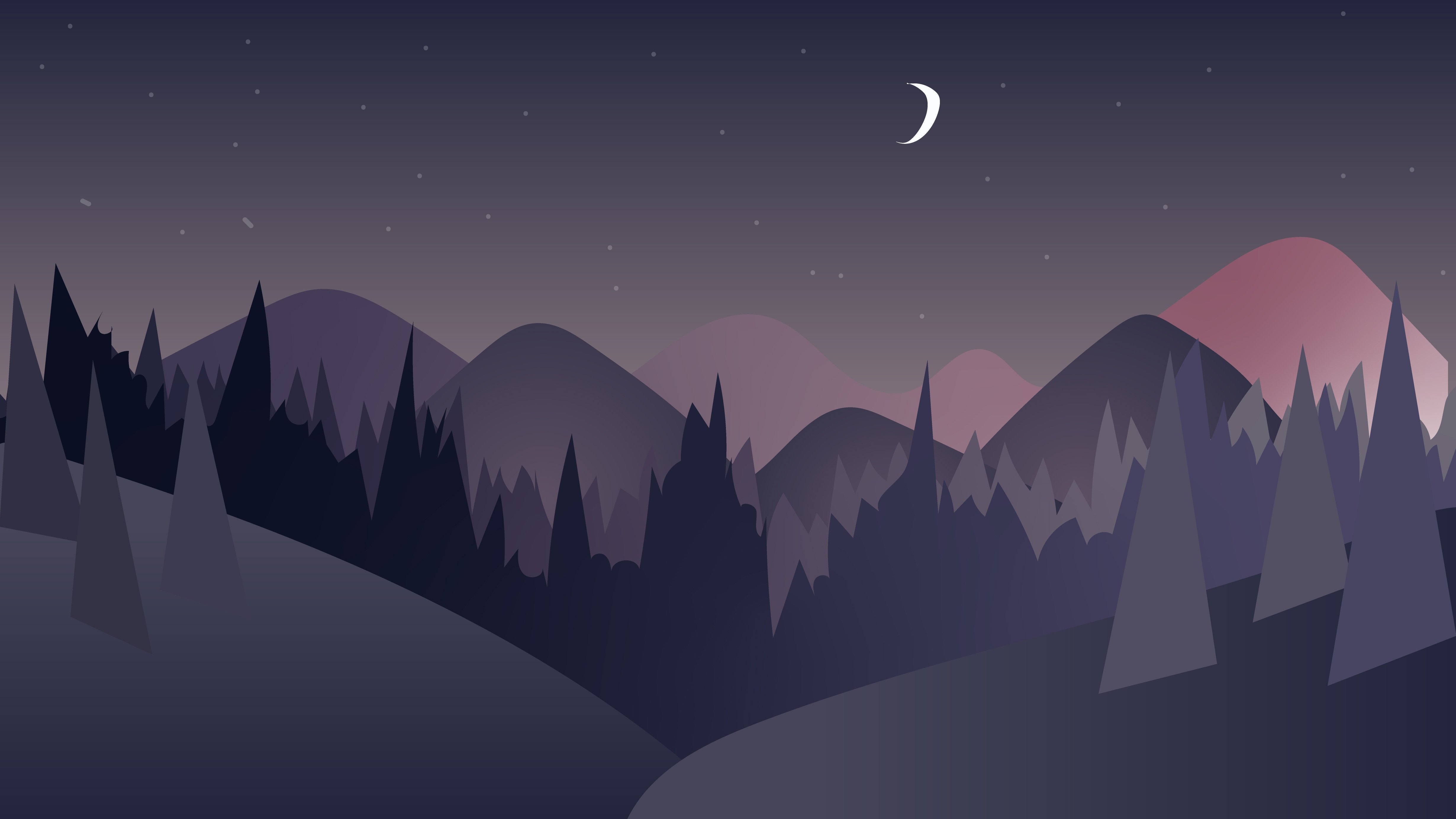 夜晚的森林插图0