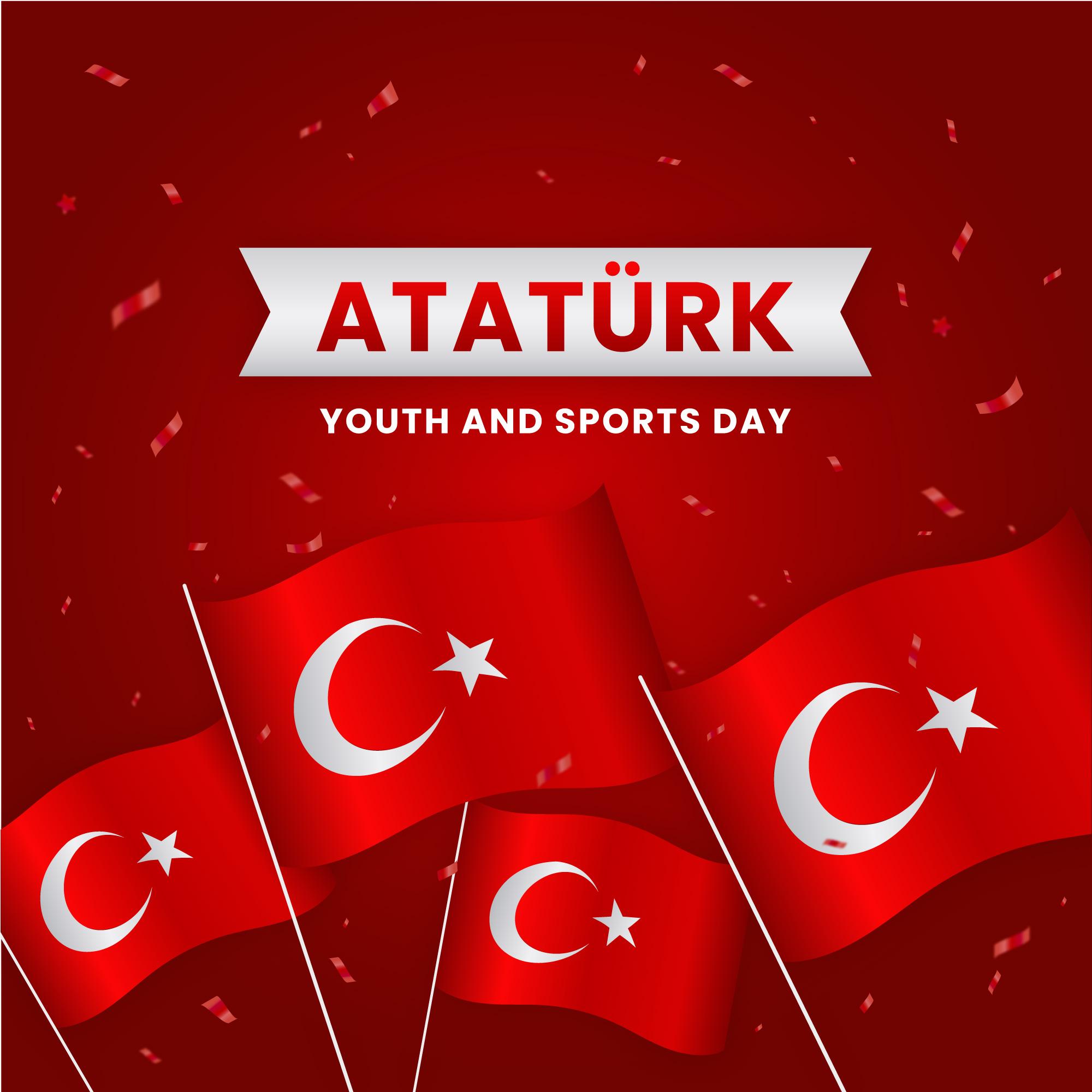土耳其国旗插图0