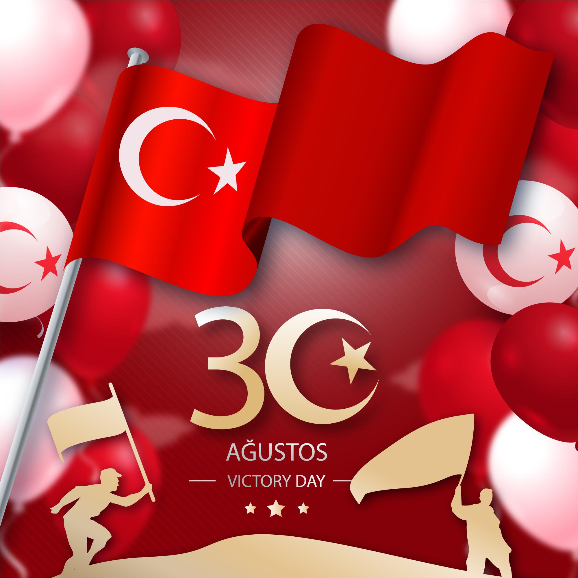 土耳其胜利日与国旗插图0