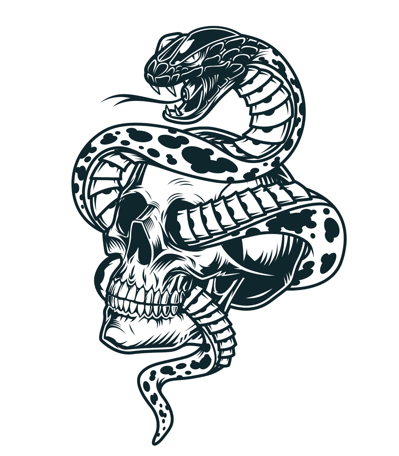 蛇与头骨插画0