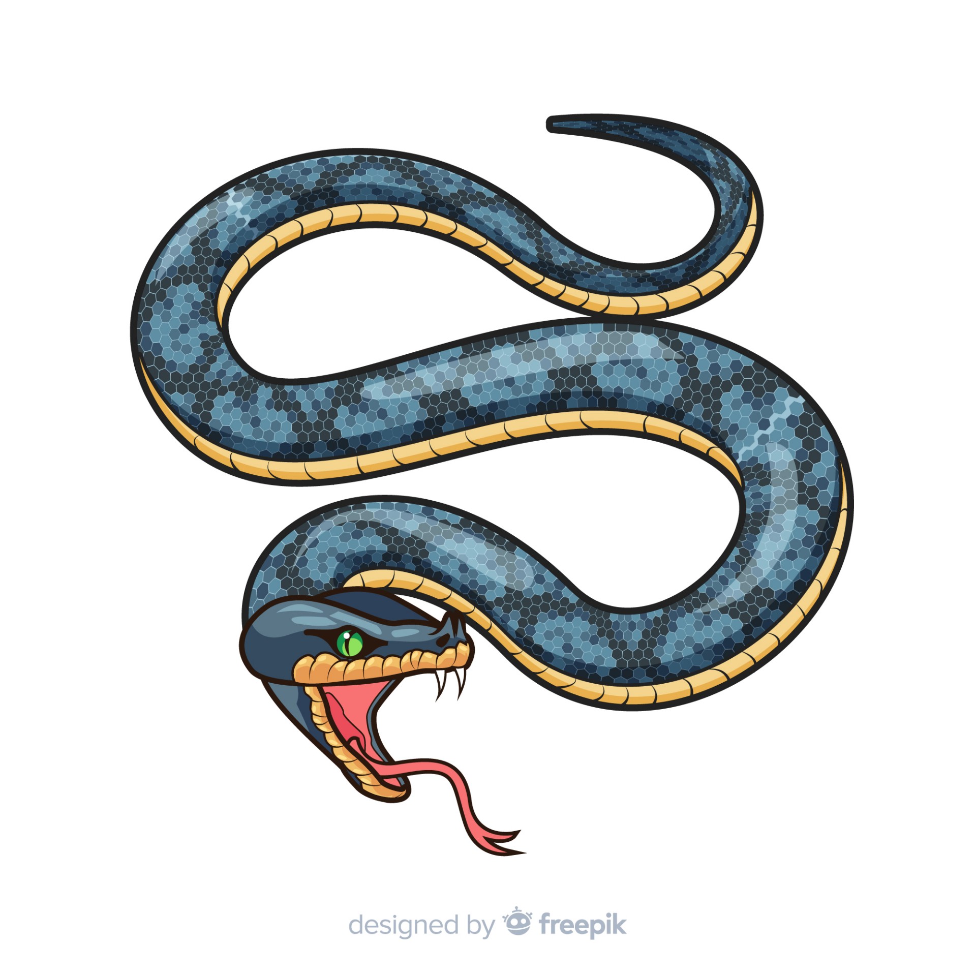 手绘毒蛇插画0