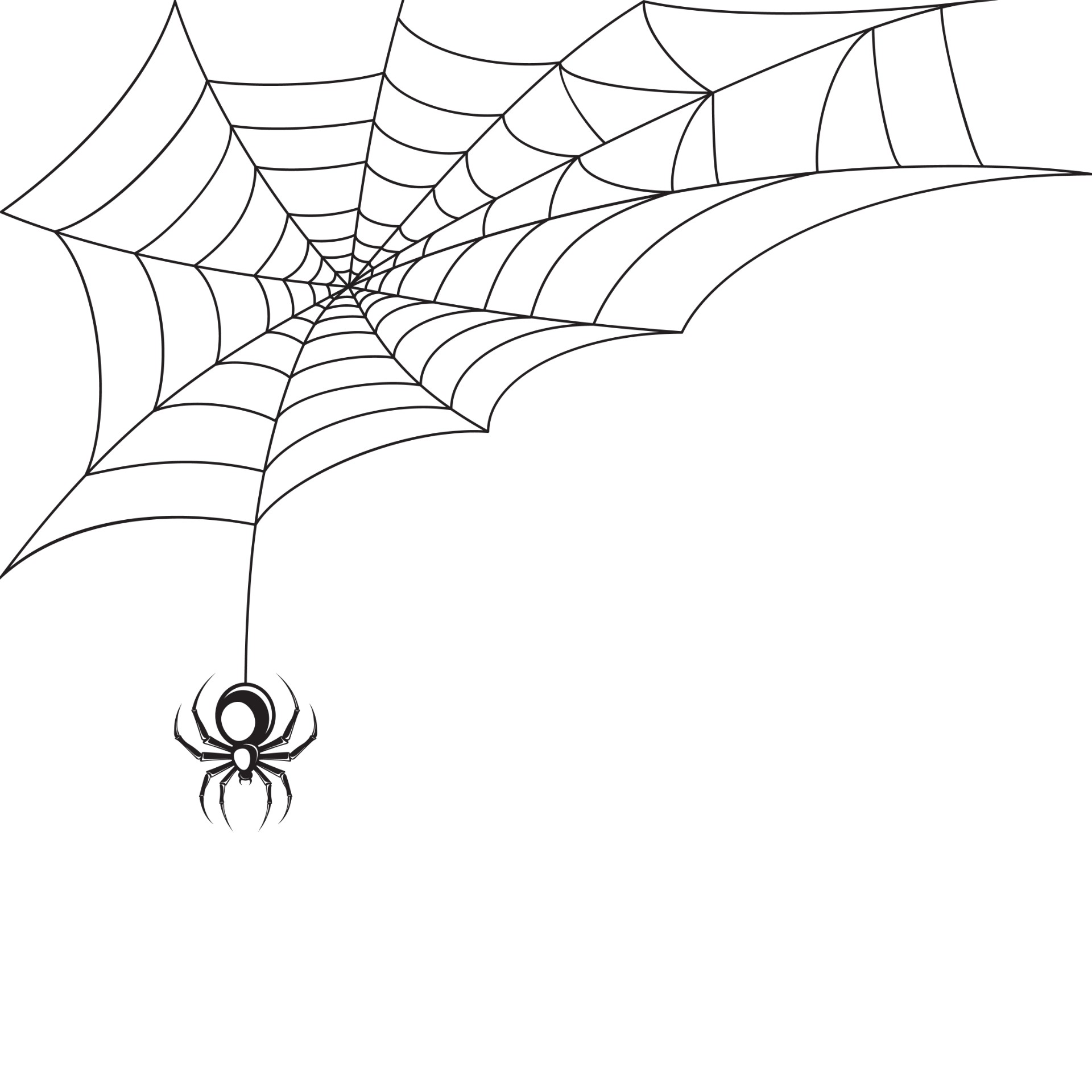 蜘蛛网插画0