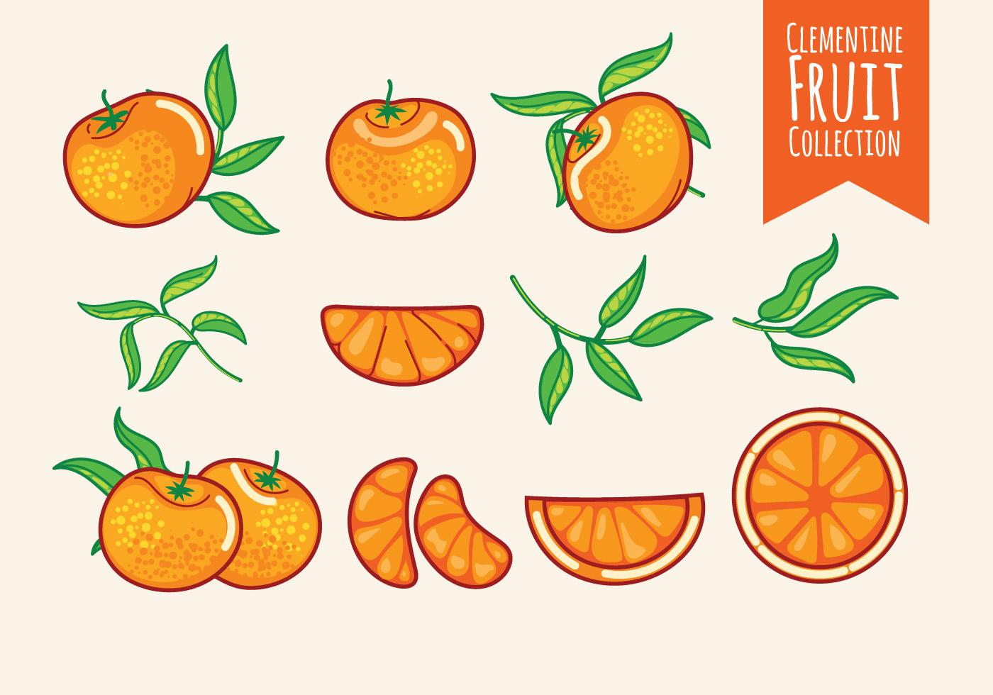 各种形态的橘子插图0
