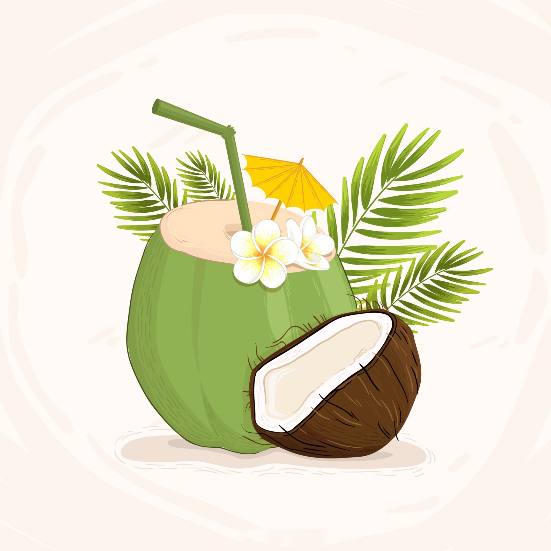 椰子果汁插画0