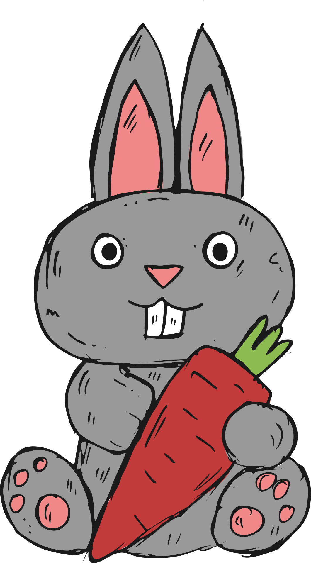 抱着胡萝卜的兔子插图0