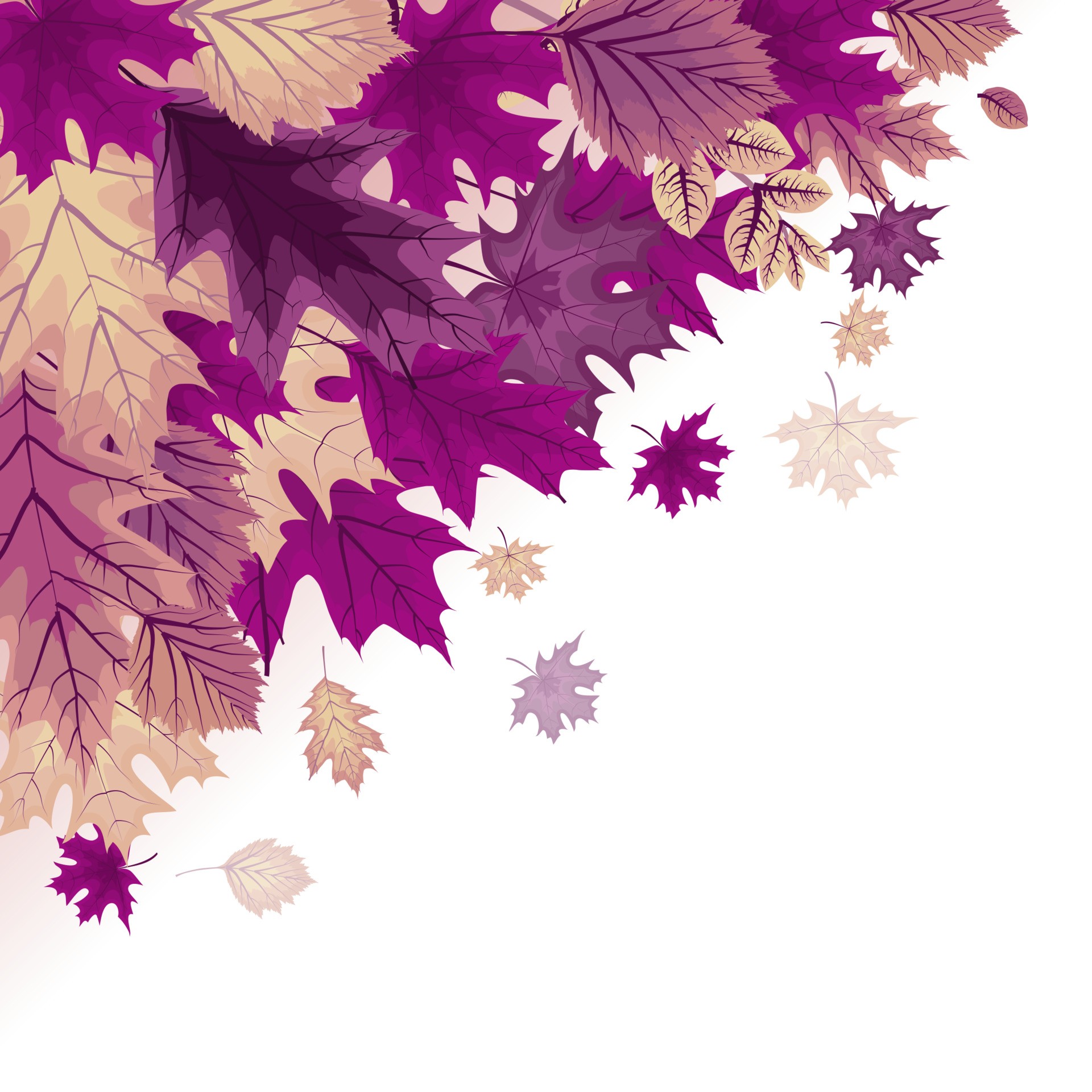 紫色叶子背景插图0