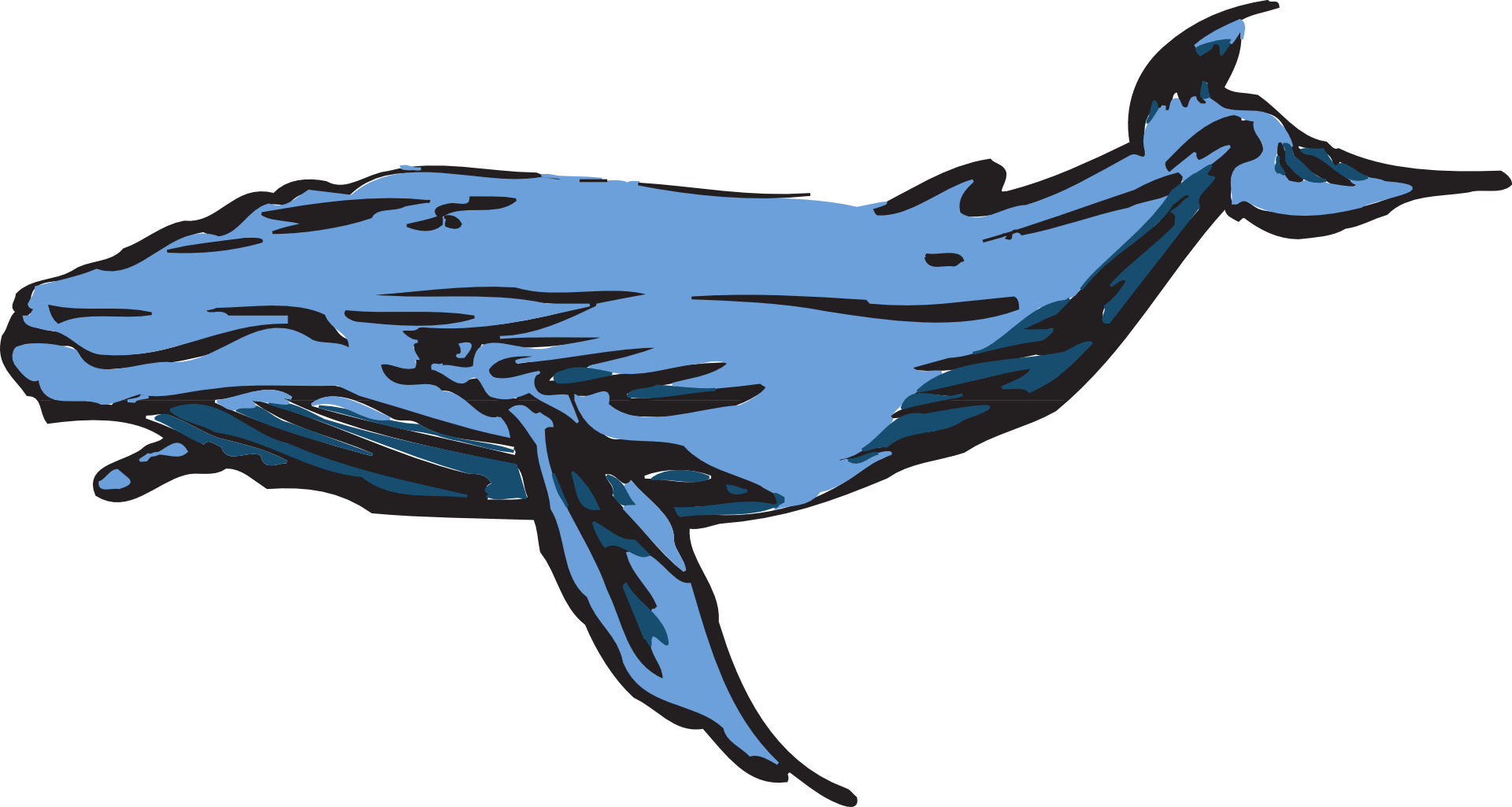 蓝鲸手绘插图0