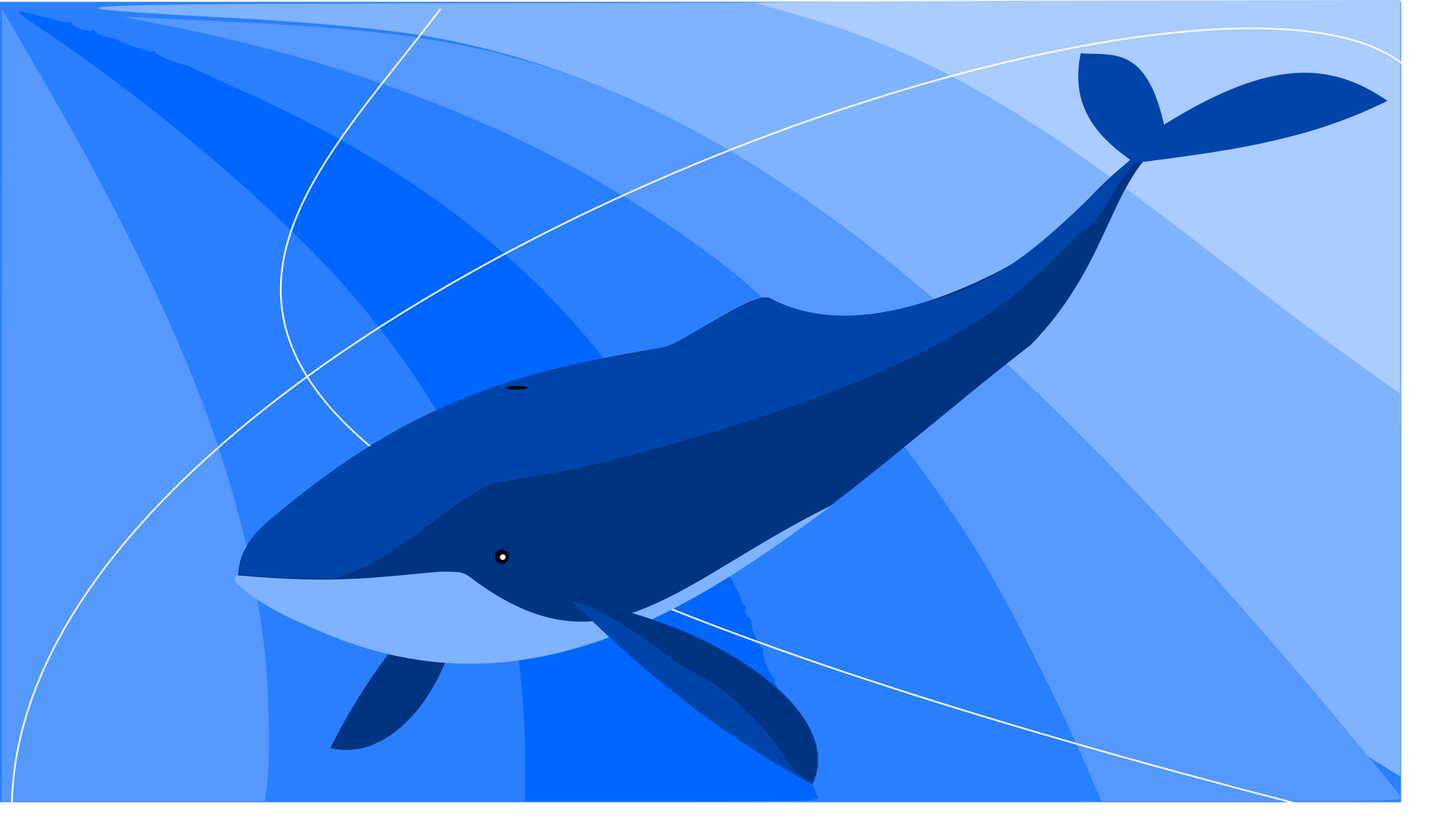 低聚鲸鱼插图0