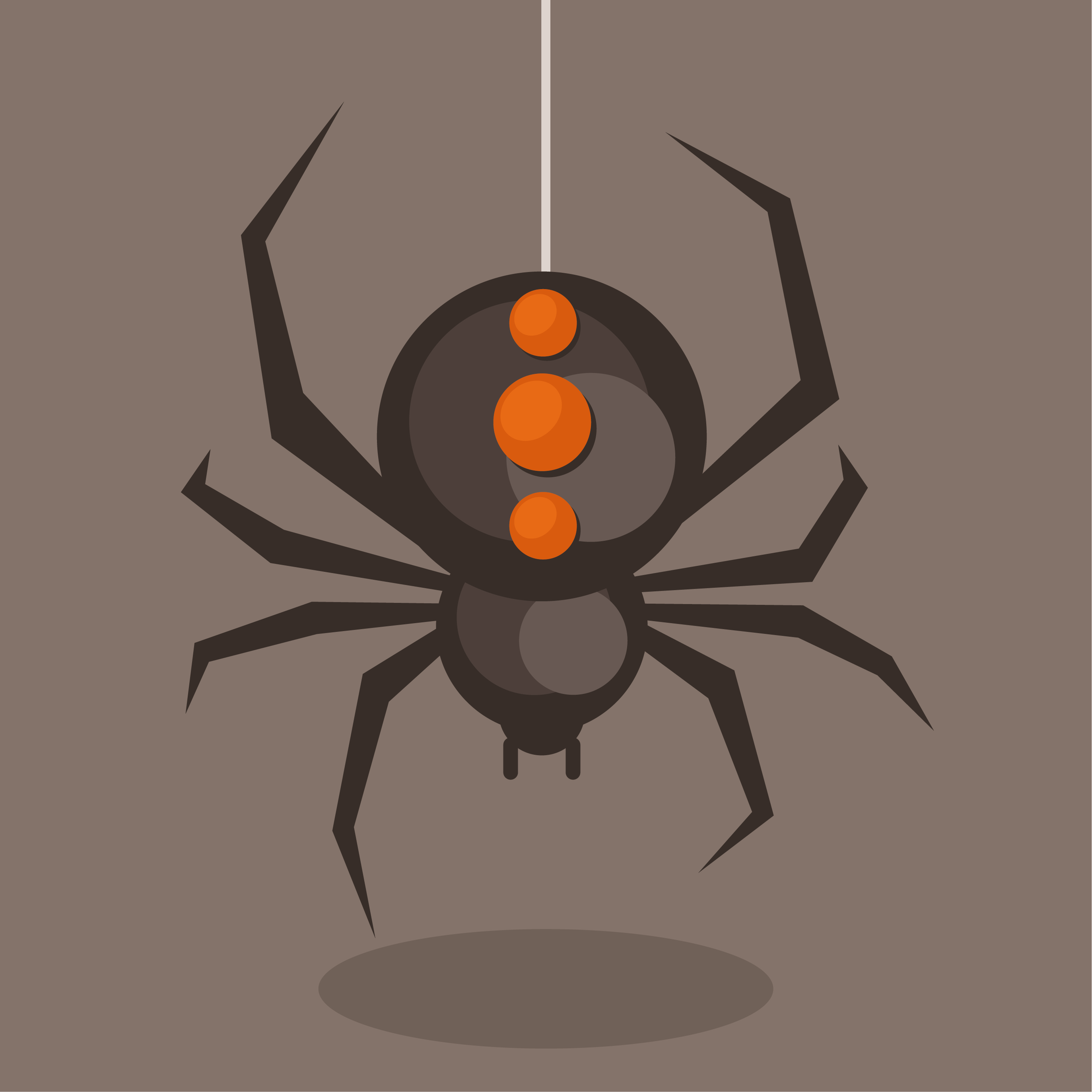 吊在蜘蛛丝上的蜘蛛插图0
