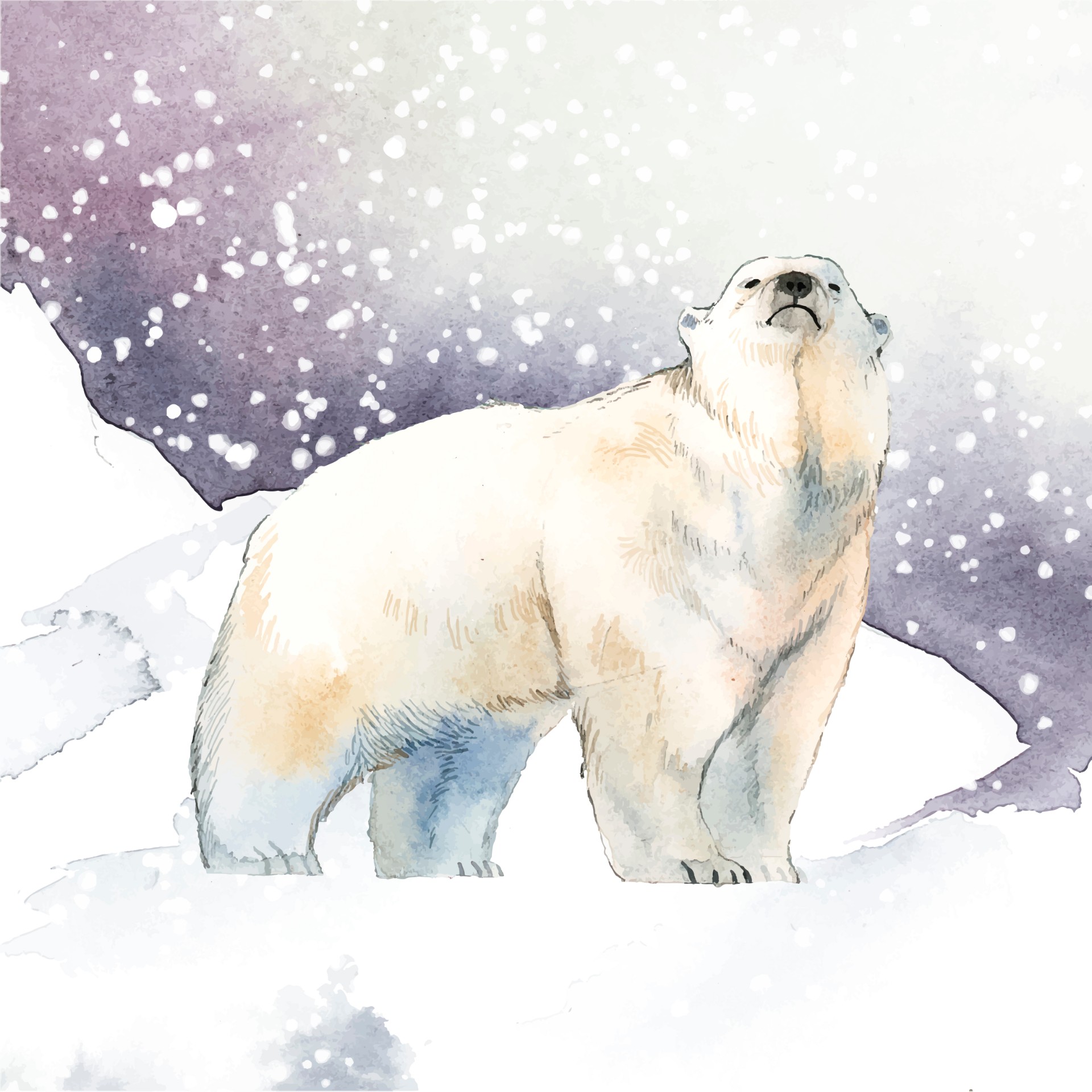白雪水彩画风格的北极熊0