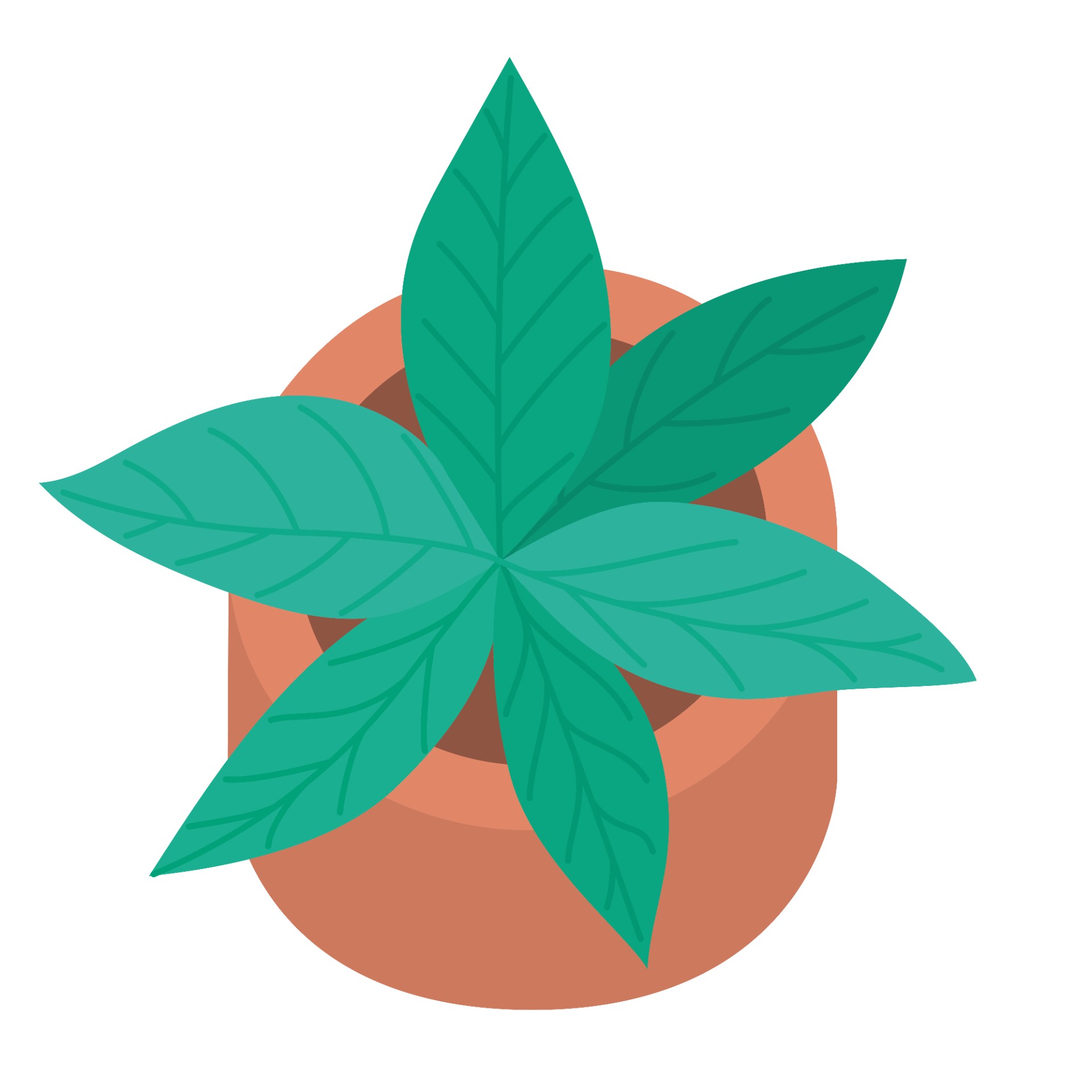 简单盆栽植物插图0