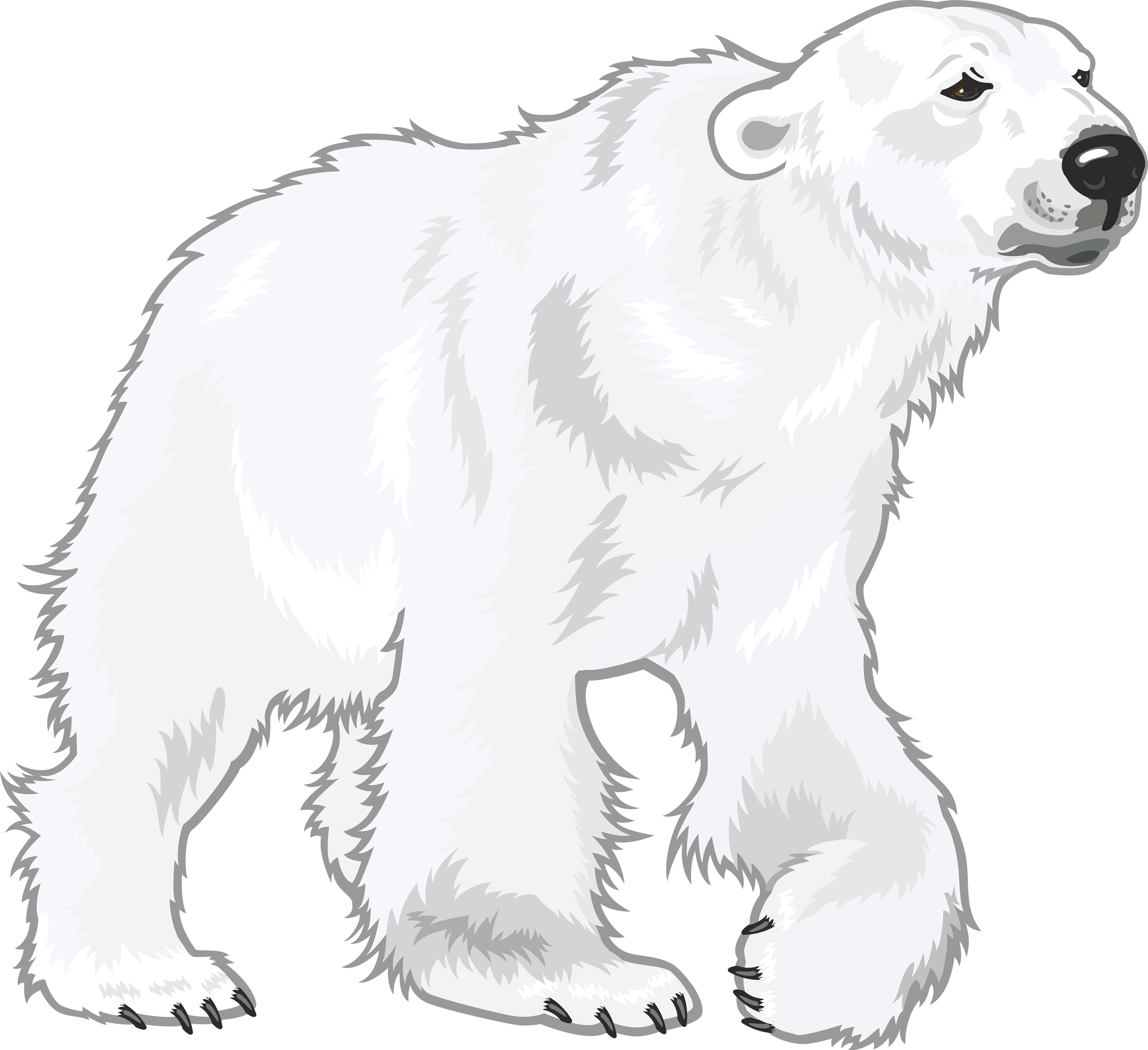 手绘北极熊免抠高清图0