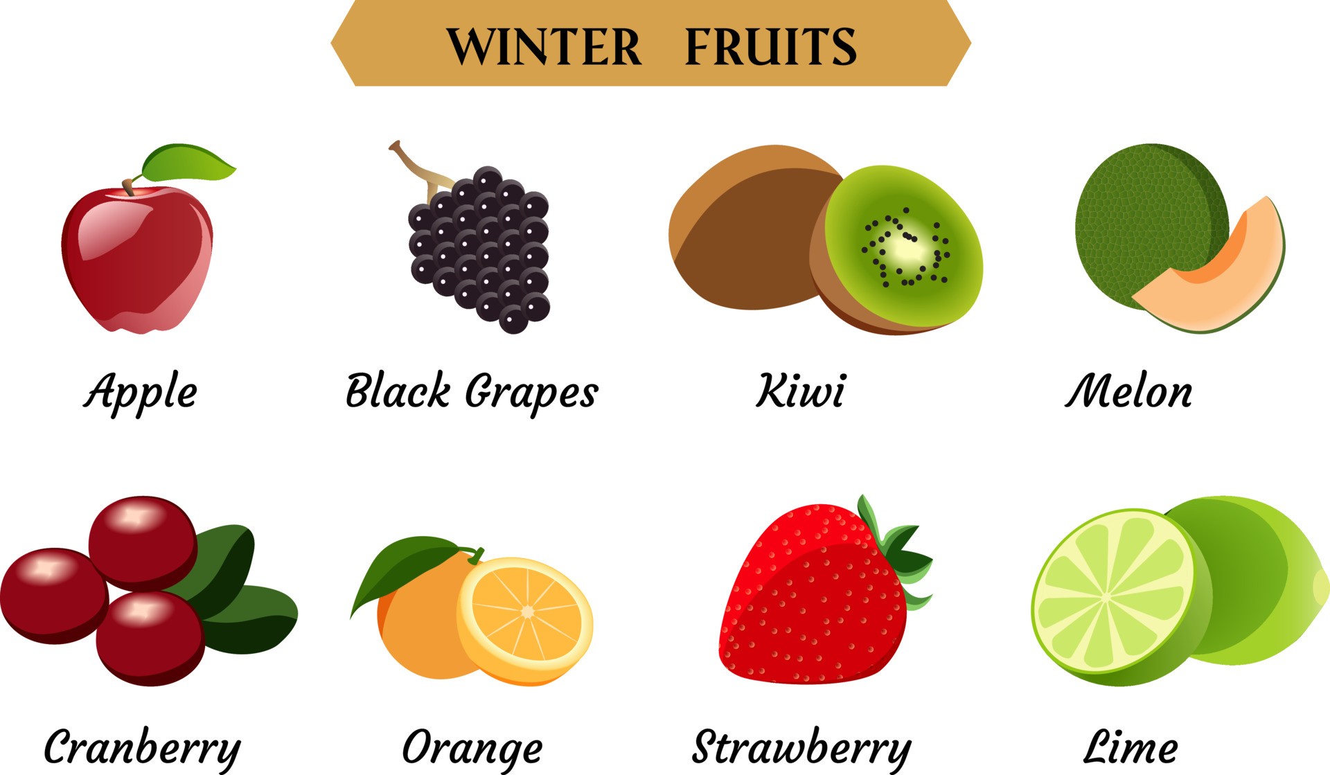 冬季常见水果图标0