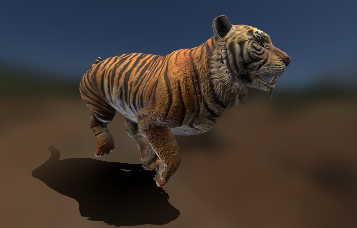 老虎奔跑3d模型0
