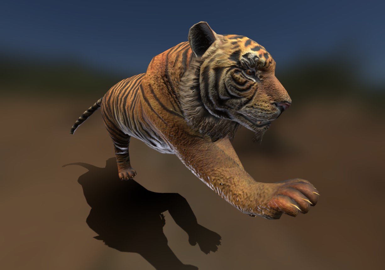 老虎奔跑3d模型1