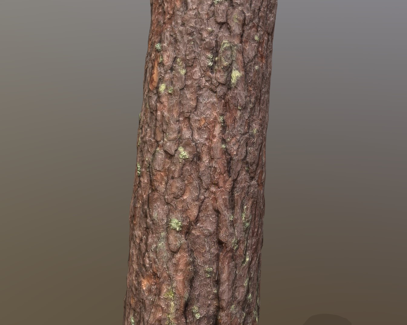 树干树桩3d模型1