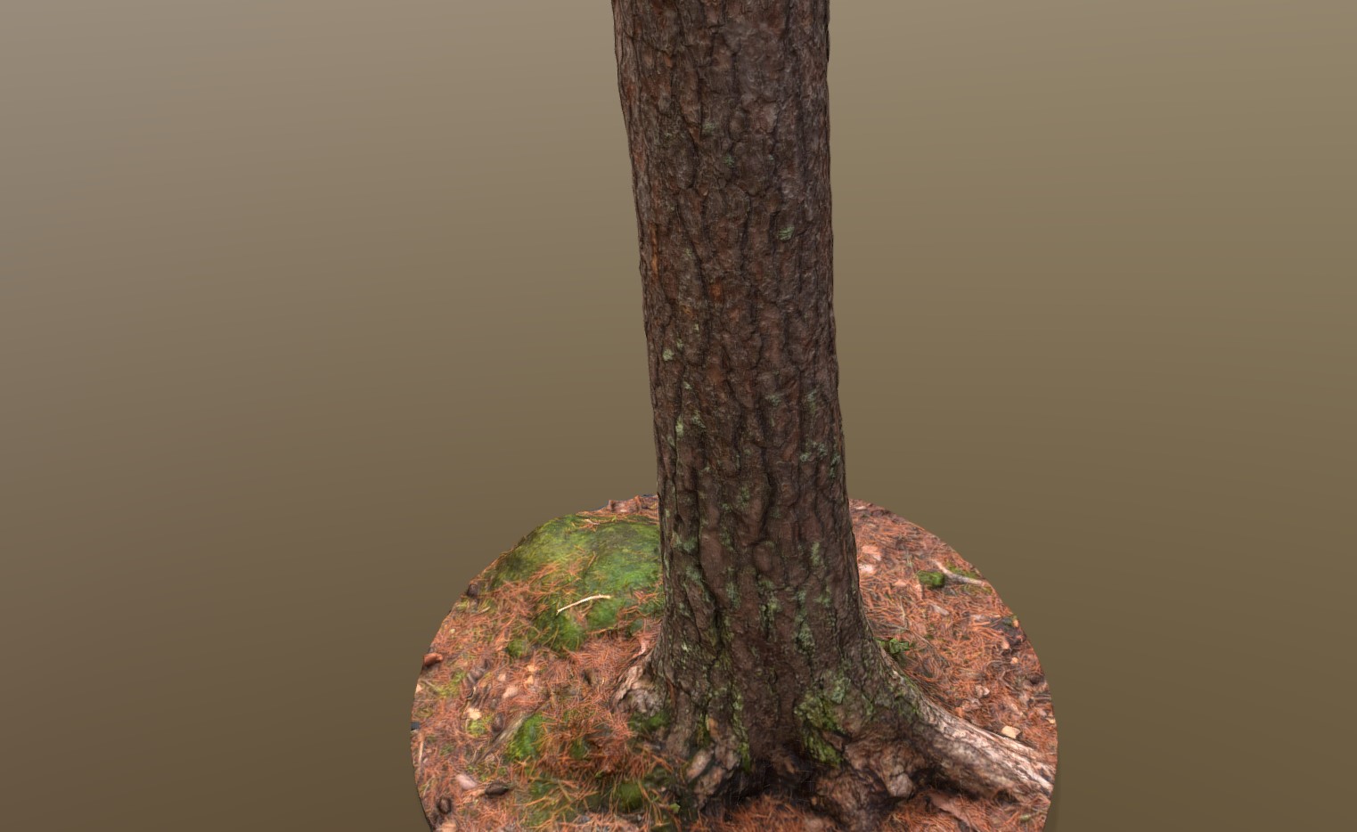 树干树桩3d模型2