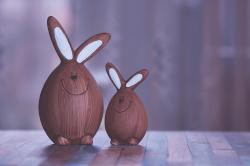 棕色的木头兔子雕像