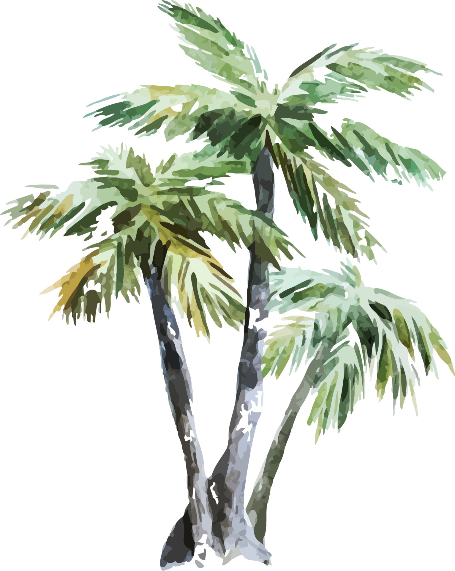 水彩棕榈树插图0
