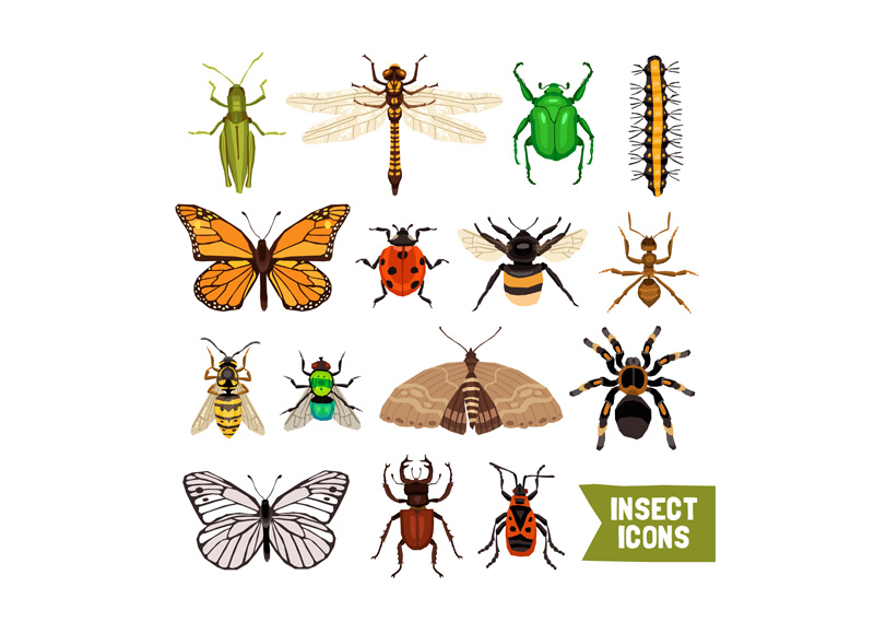 昆虫图标图案0