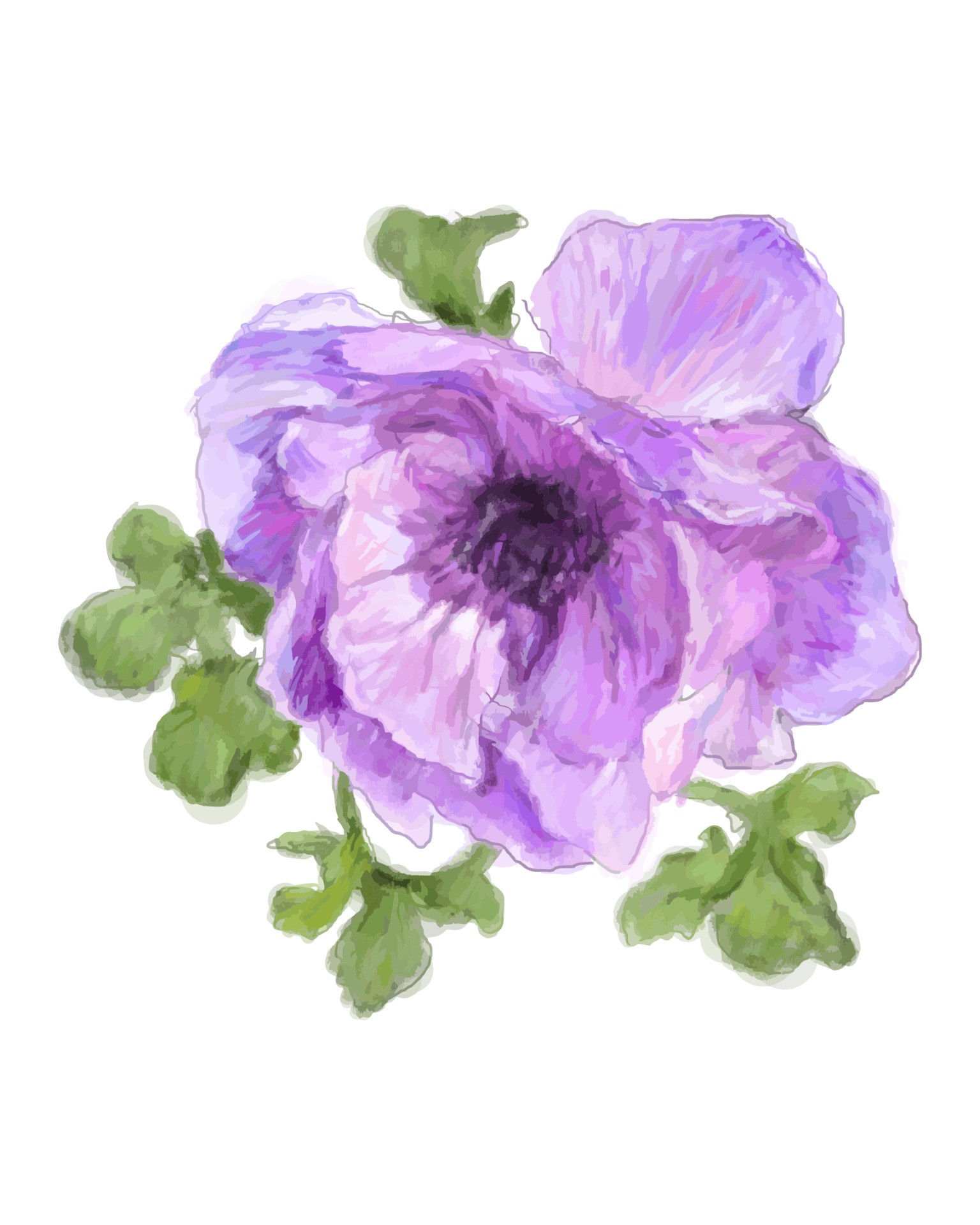 紫色虞美人花朵插图0