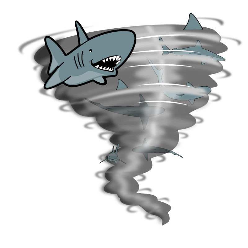 鲨卷风插图0