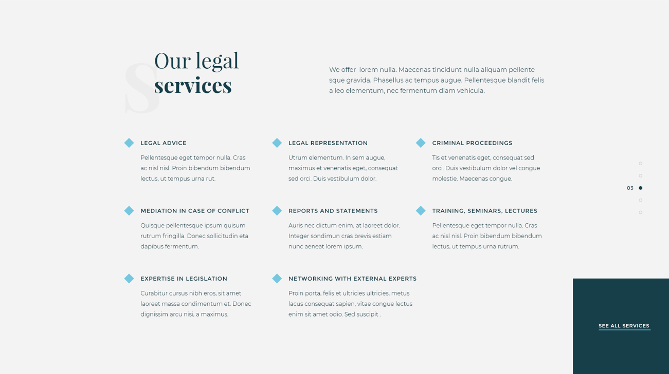 医疗法律网站模板2