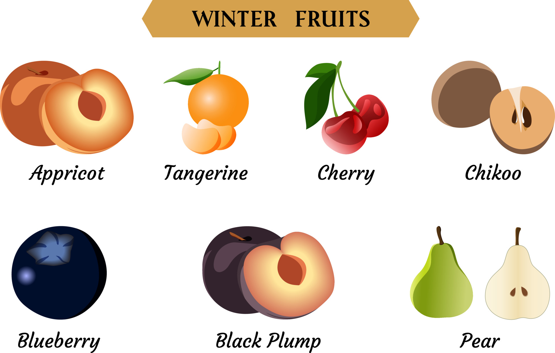 水果种类插图0