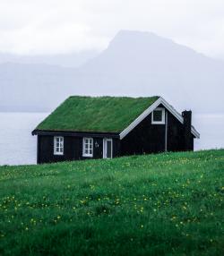 绿色屋顶的房子