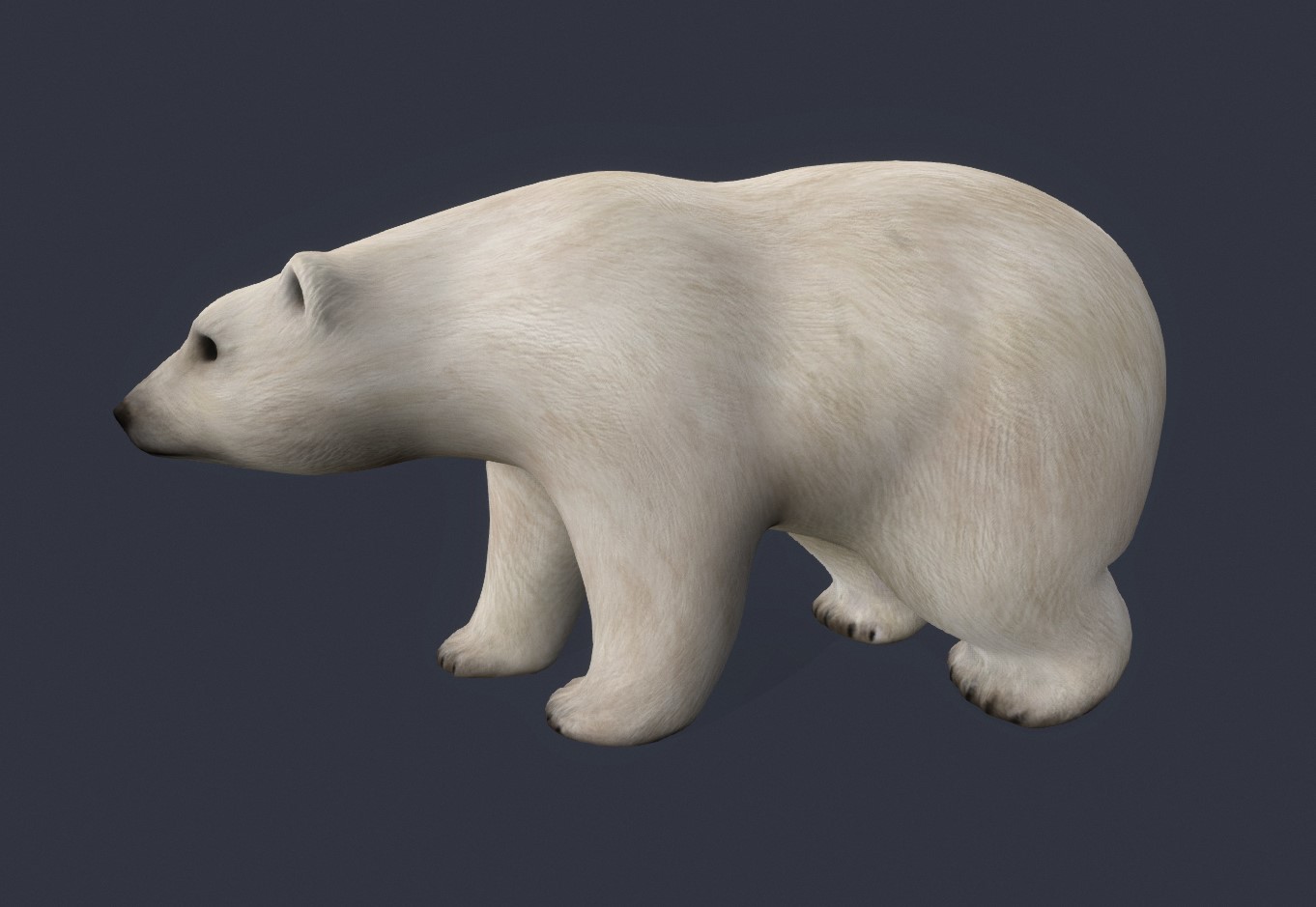 北极熊3d模型0